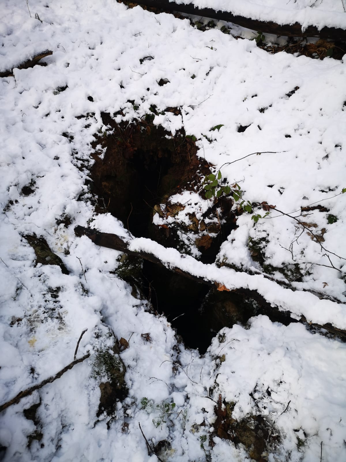 Avenul Mănușii - Image 1